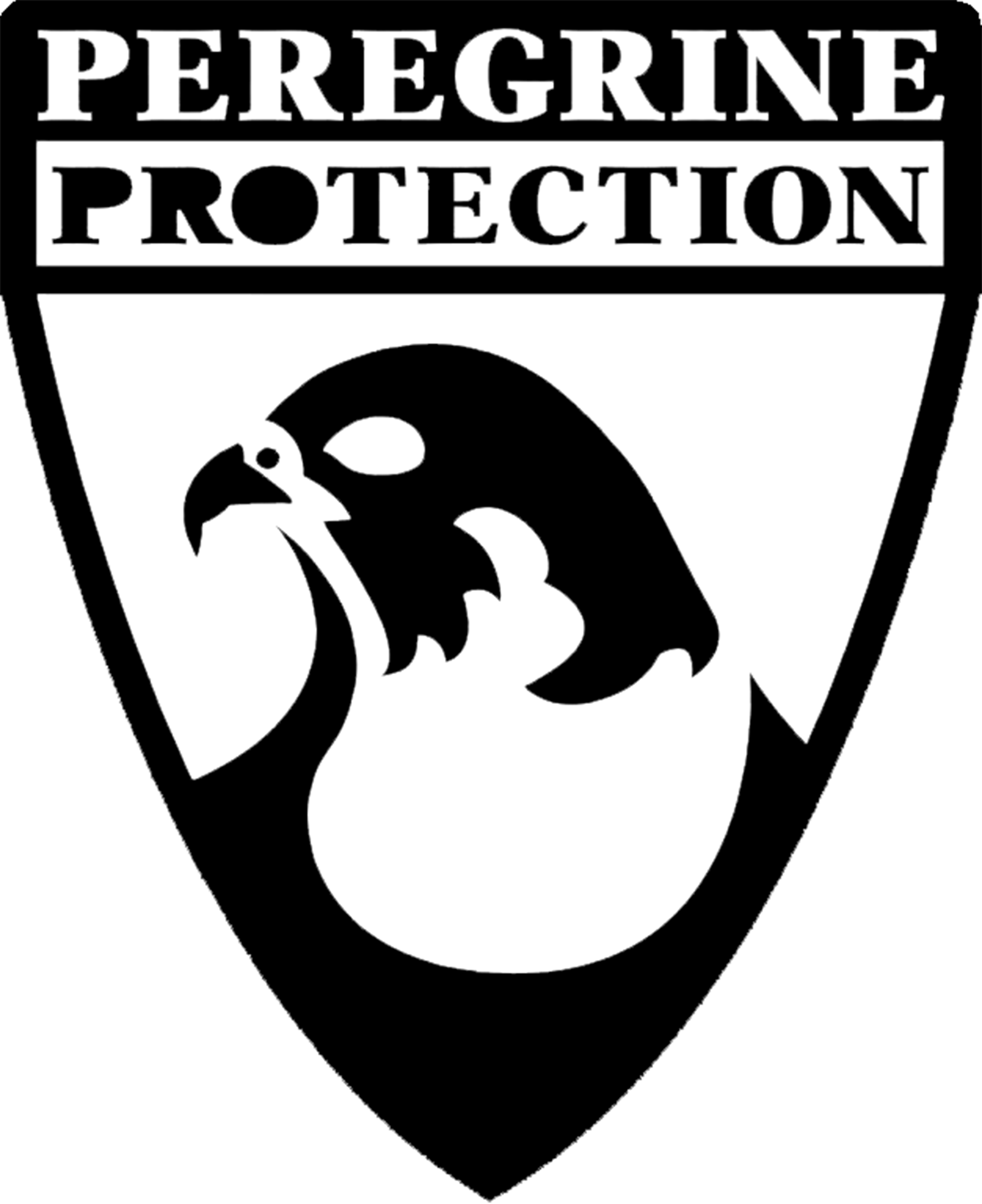 17 logo